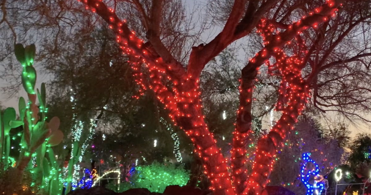 Ethel M's Holiday Cactus Garden lights up for holidays
